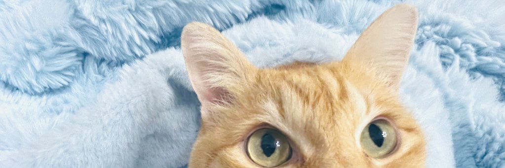 松ケ迫美貴's banner