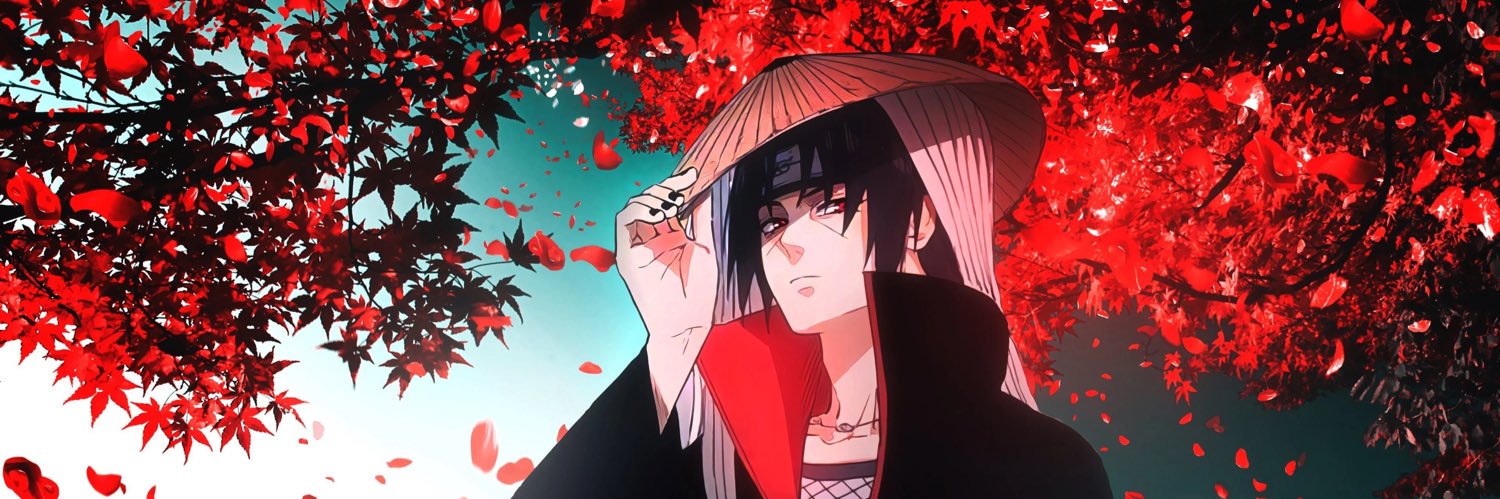 devilslayerr's banner