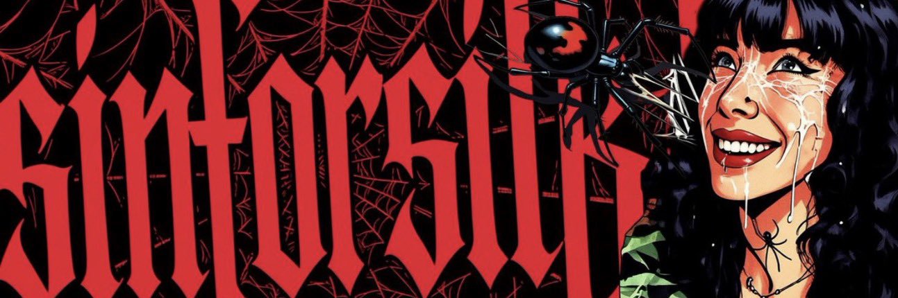Silk Shadows🕷️'s banner