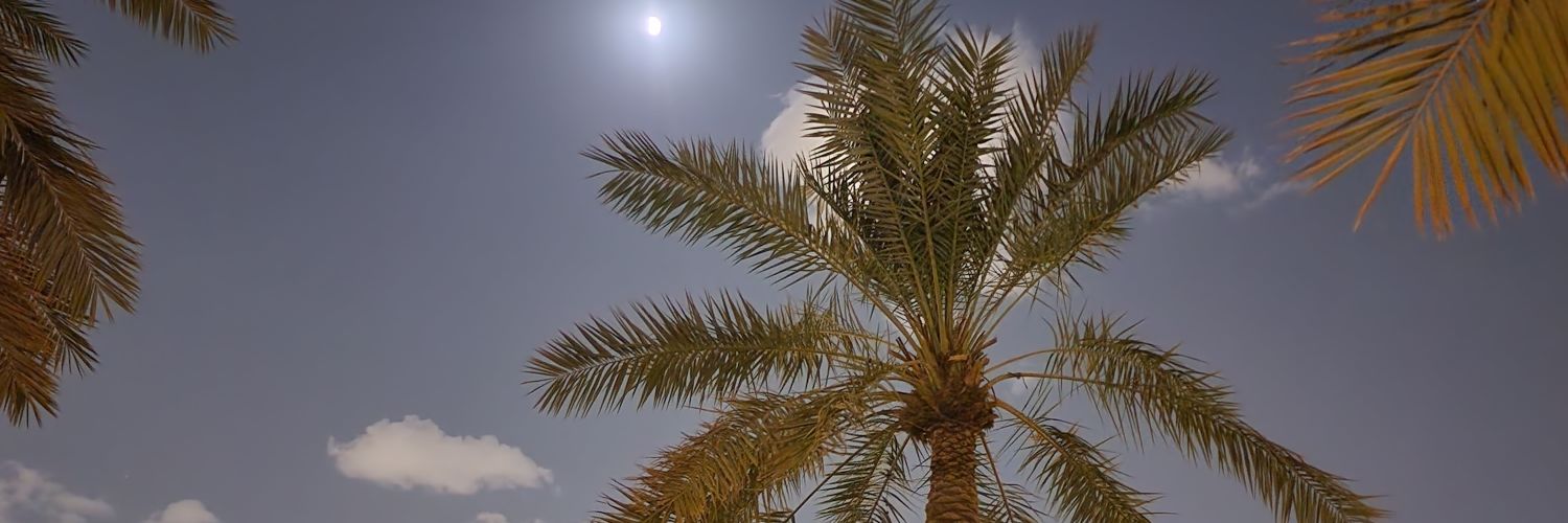 د. ياسر الشرعبي's banner