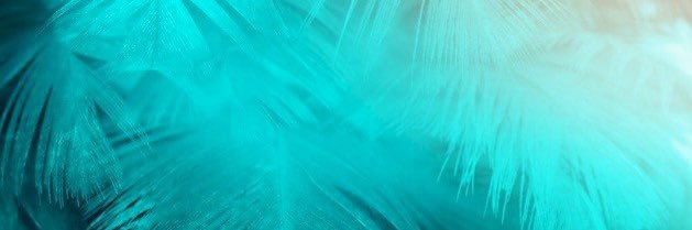 ذات's banner