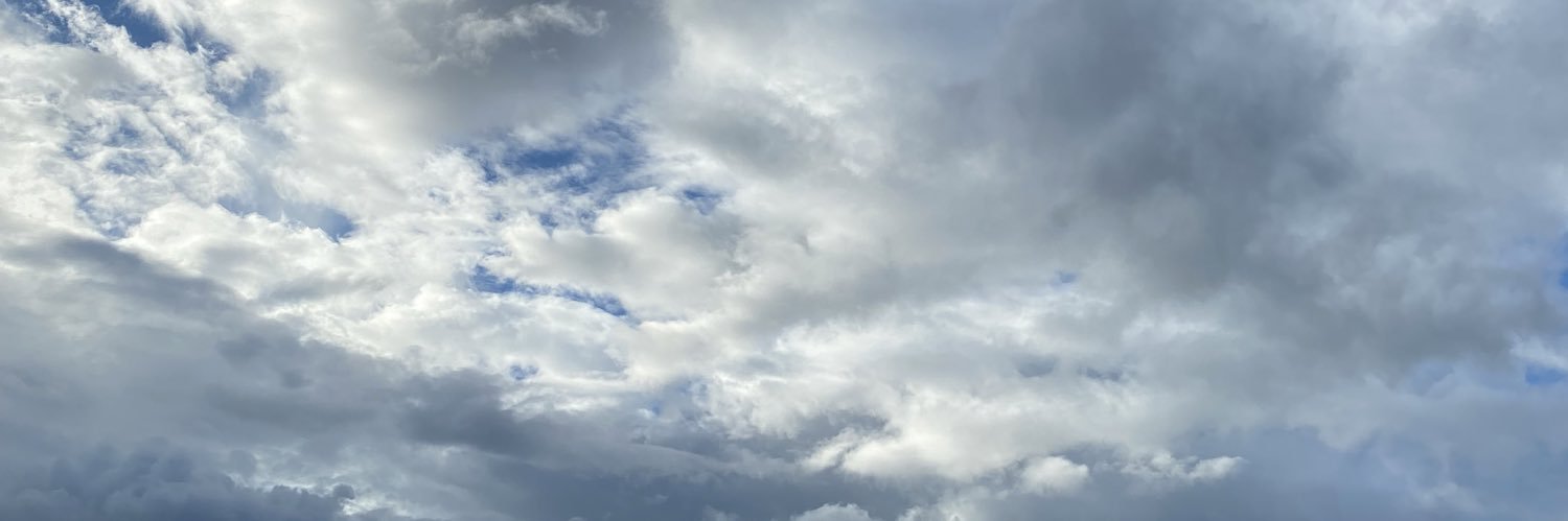 Ladypig's banner