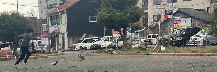 ぽん‎🤍🎧's banner