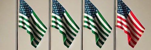 AMERICAN HODL 🇺🇸's banner