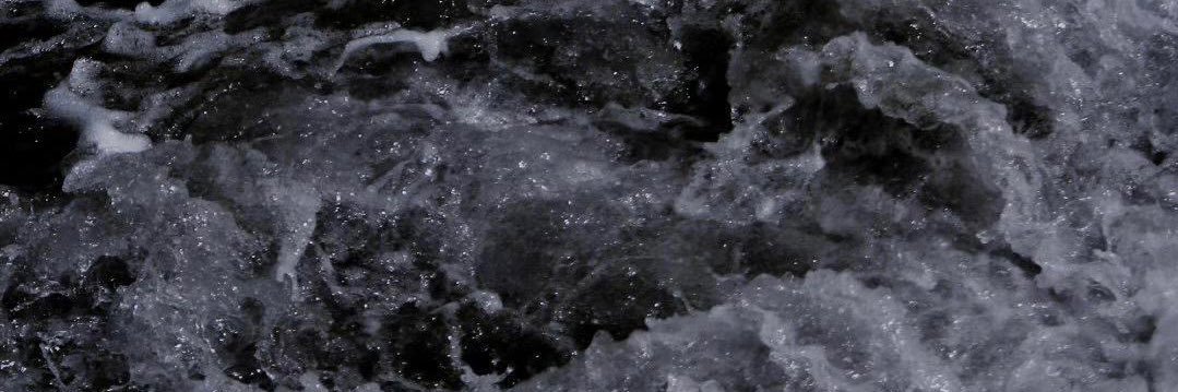 Suraci's banner