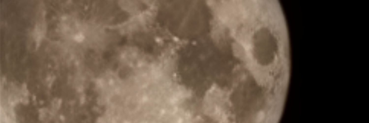 Meldiva28's banner