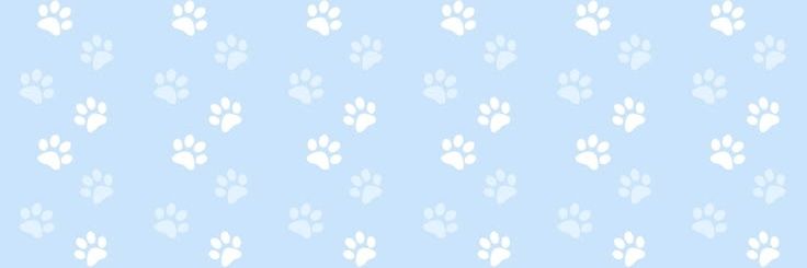 eevee 🐾♡₊ ⊹'s banner