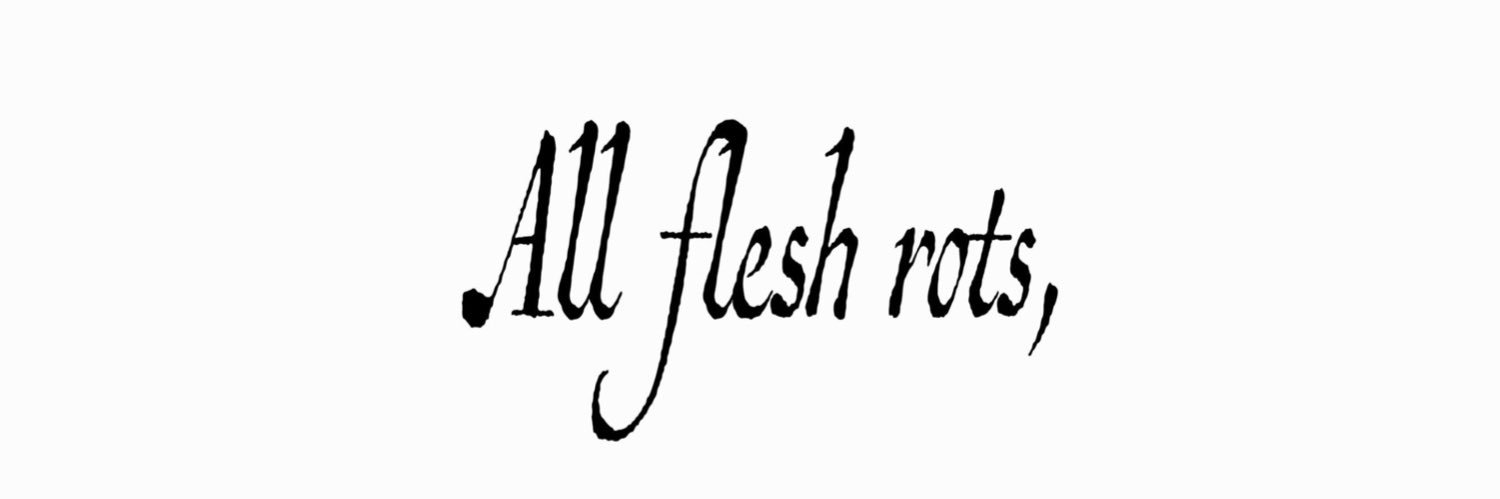nikki's banner