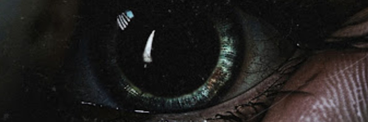 Rebmob's banner
