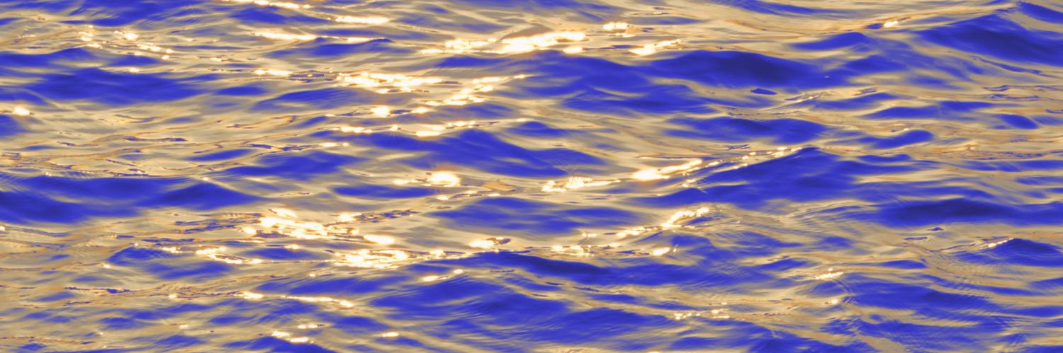 D_ry's banner