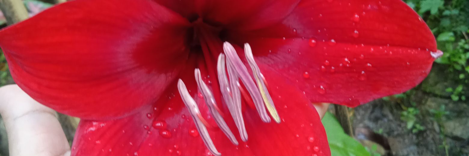 lessbianffm69's banner
