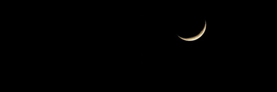 🧚‍♀️'s banner