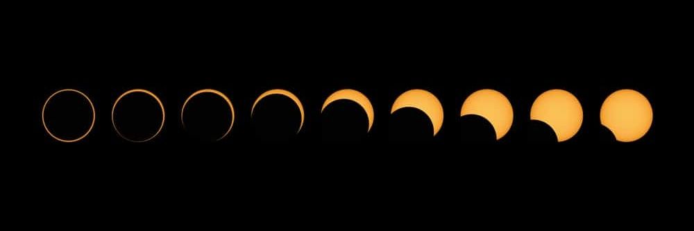 🌜Dalton notlaD🌛's banner