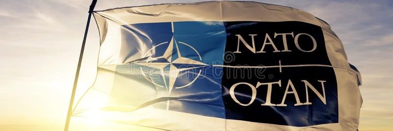 Catfella 📯 🇺🇦🤝🇩🇪🇨🇦's banner