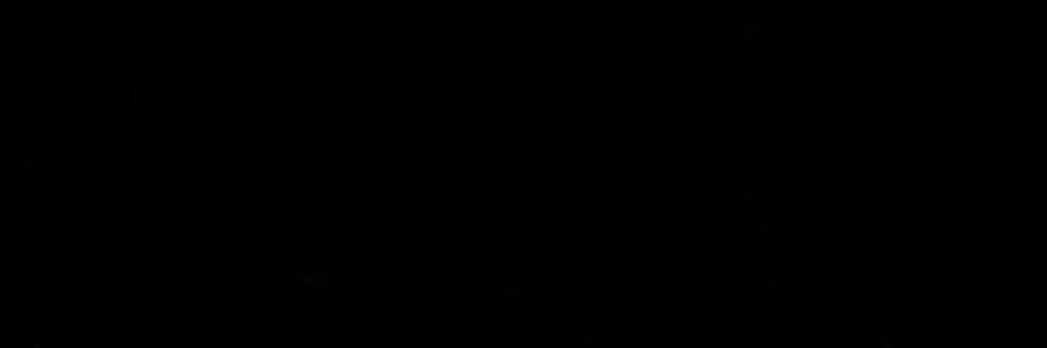 َ's banner