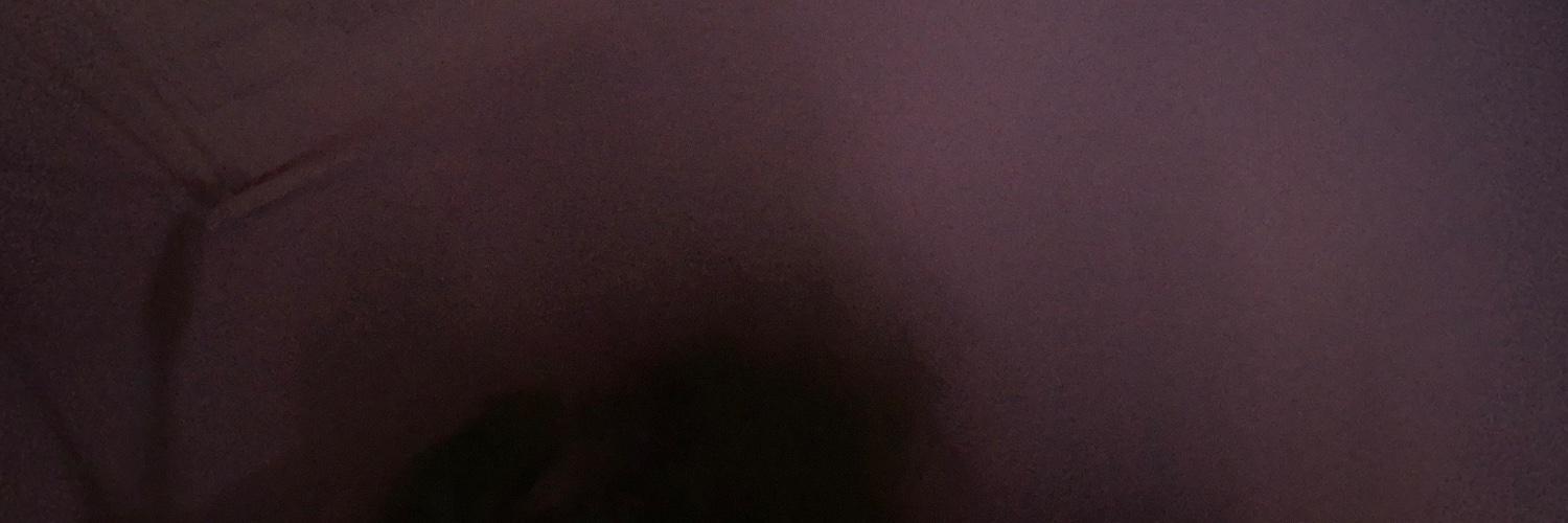 Nuageuse_'s banner