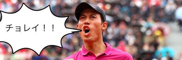 netdash🤔鼻血ブログ's banner