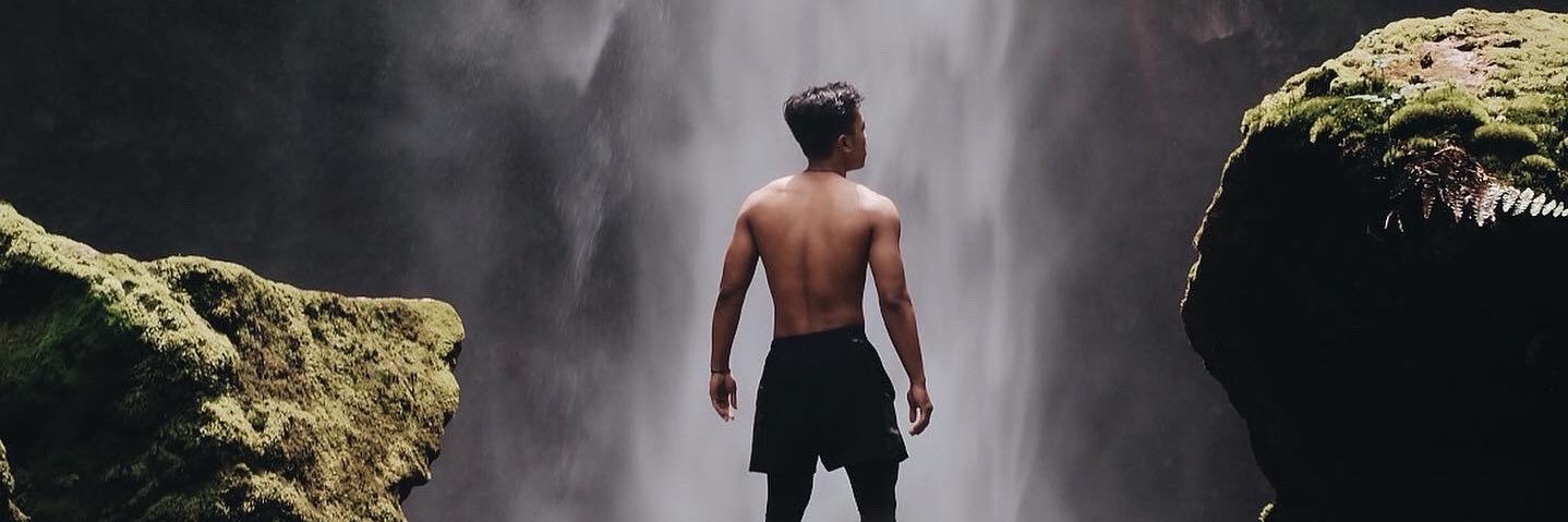 Alfaroga's banner