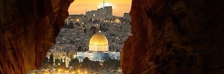 سندس🇵🇰🇵🇸's banner