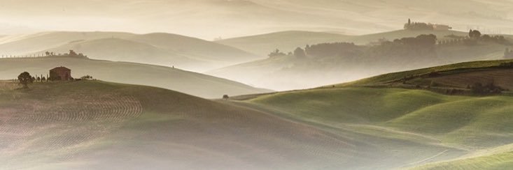 melis alphan ♀'s banner