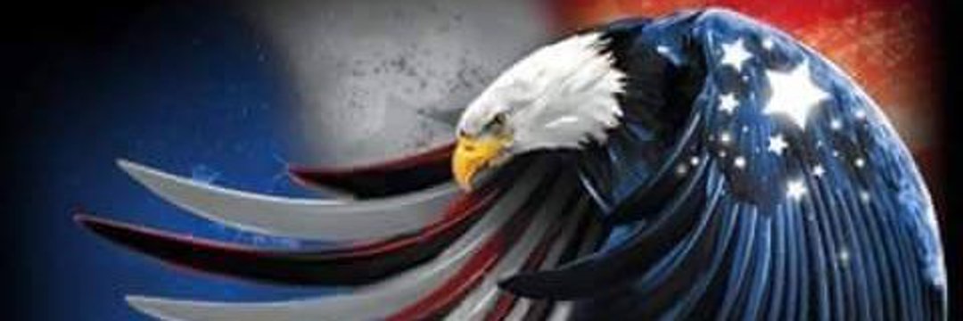 Ultra MAGA Libre🍊🇺🇸👊's banner