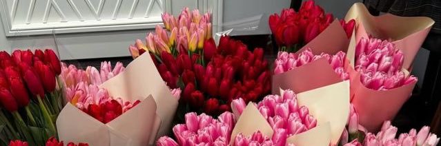 𝑅𝒶𝒷𝓎𝒶 ♡'s banner