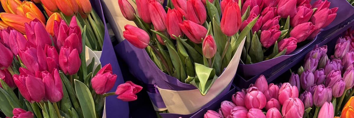 ♡ 𝑅𝒶𝒷𝓎𝒶 ♡'s banner