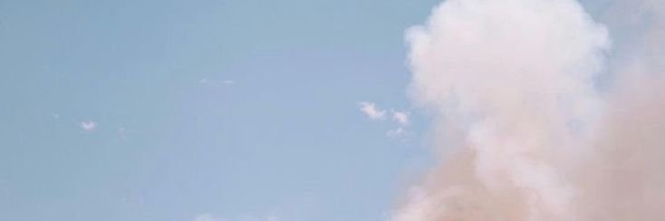 dulce's banner
