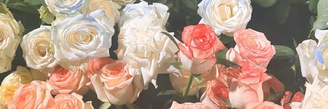 刘岚菲's banner