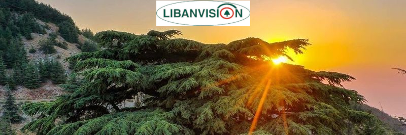 LibanVision by JMD's banner