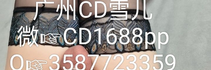 广州TS雪儿's banner