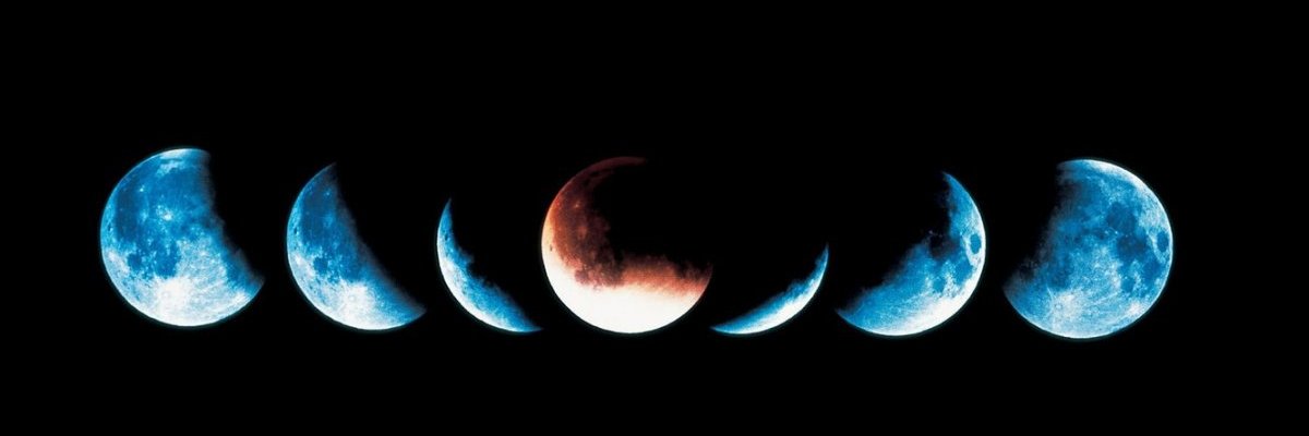 Торси ....'s banner
