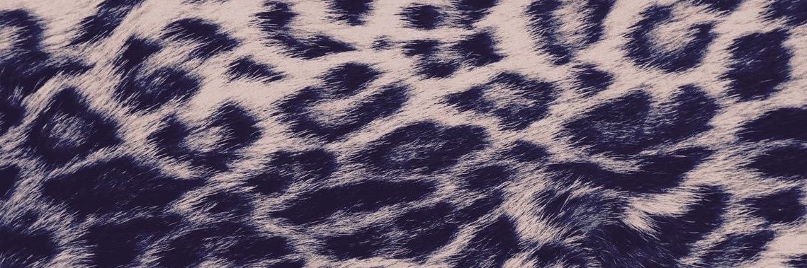 kaiyahj's banner