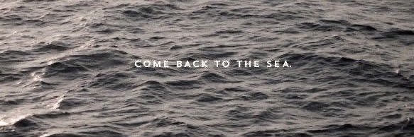 lys 🪼 (percameth withdrawals)'s banner