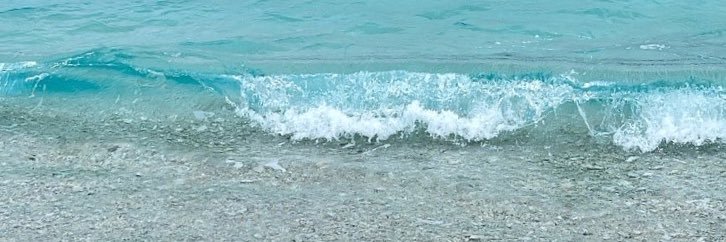 みかん〔シークァーサー風味〕's banner