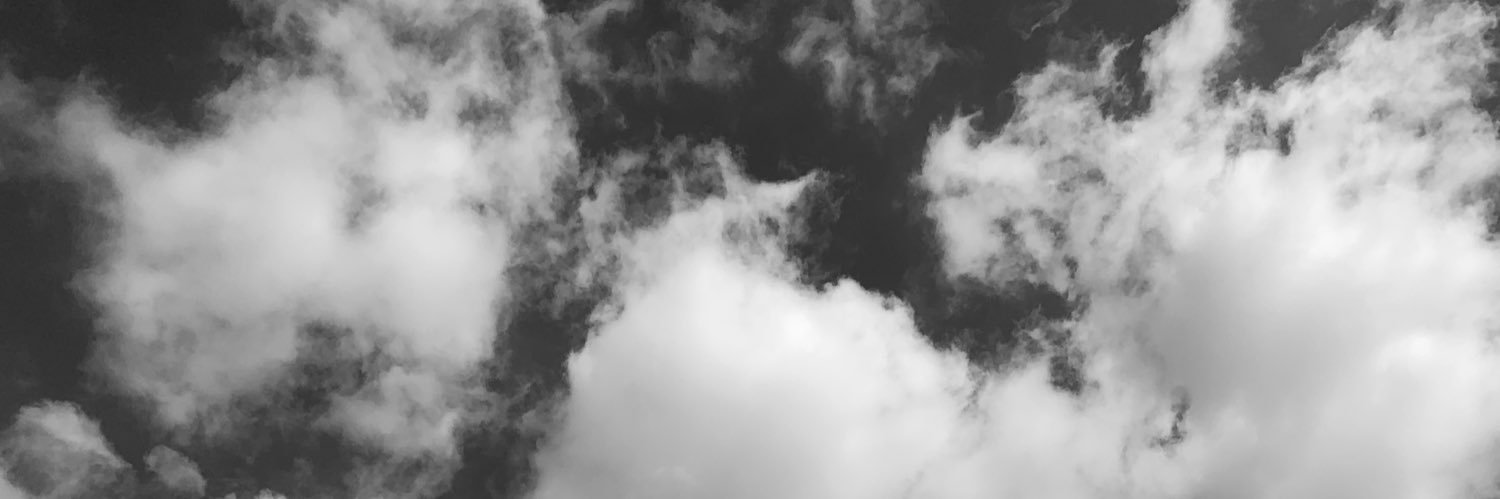 Lara's banner