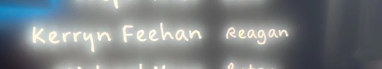 Kerryn Feehan's banner