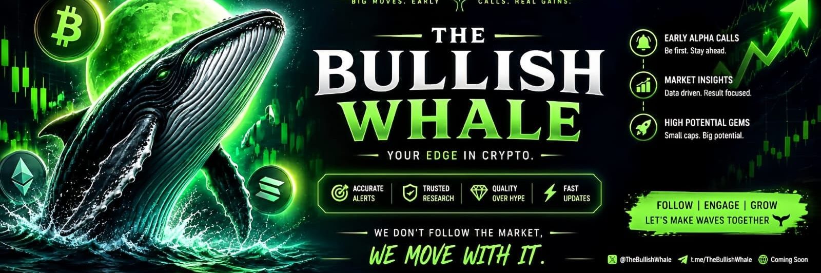 The Bullish Whale 🐋's banner