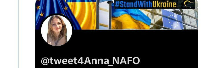 Anna Komsa 🇪🇺🇫🇷🇵🇱🇺🇦's banner