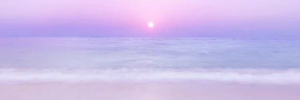 佐野真彩's banner
