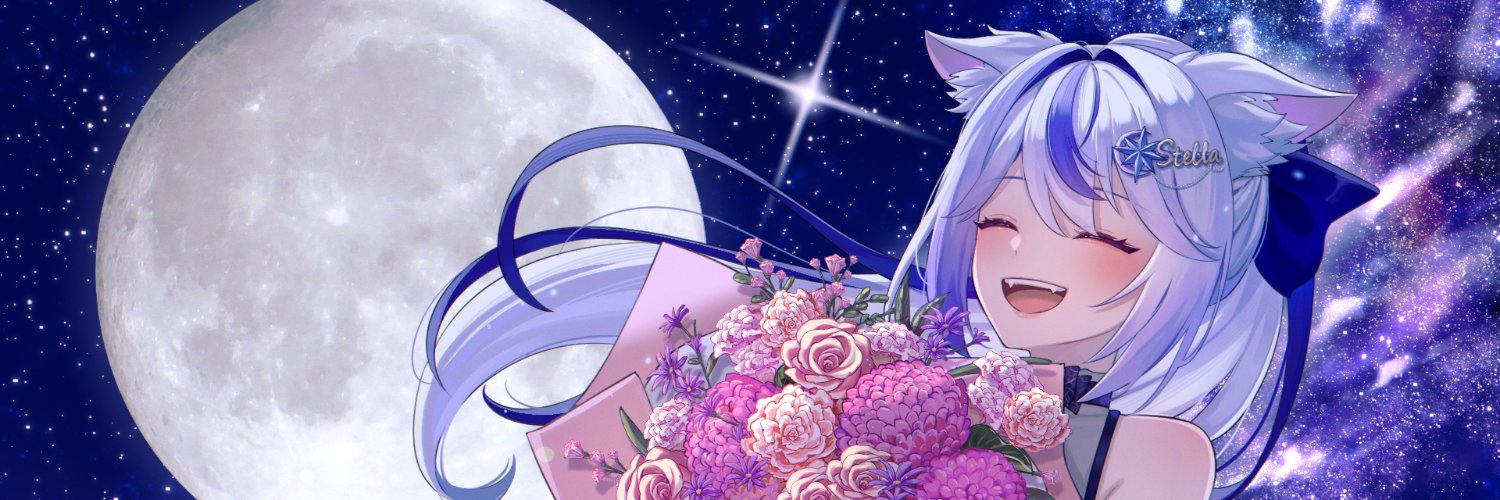 有明ステラ🌟🐺's banner