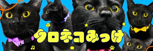 クロネコみっけ's banner