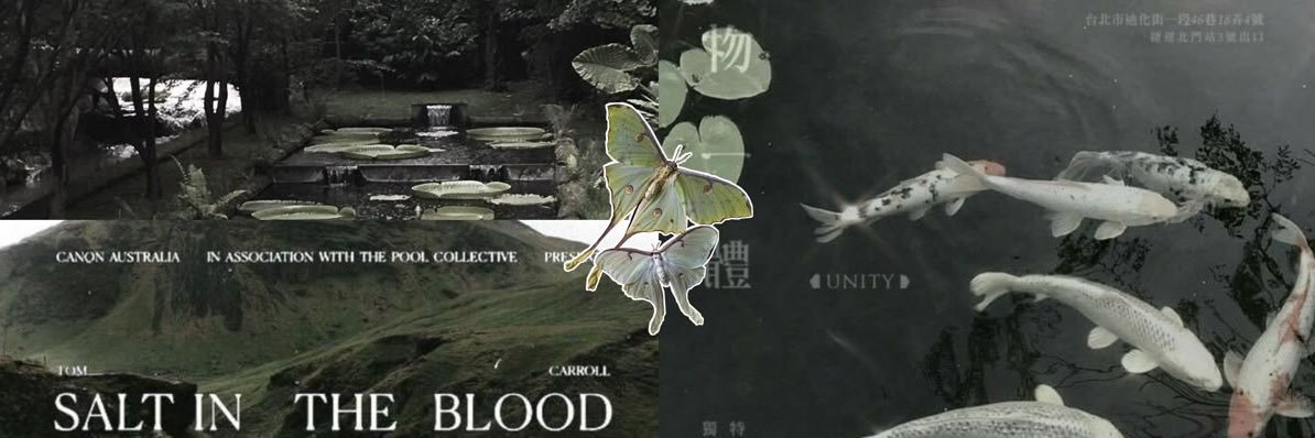 yun.'s banner
