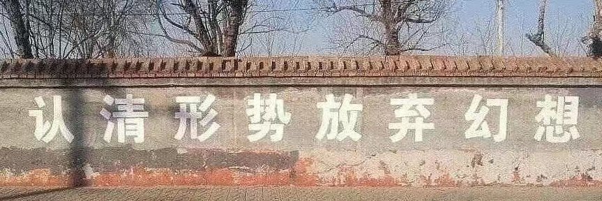白了个白白's banner