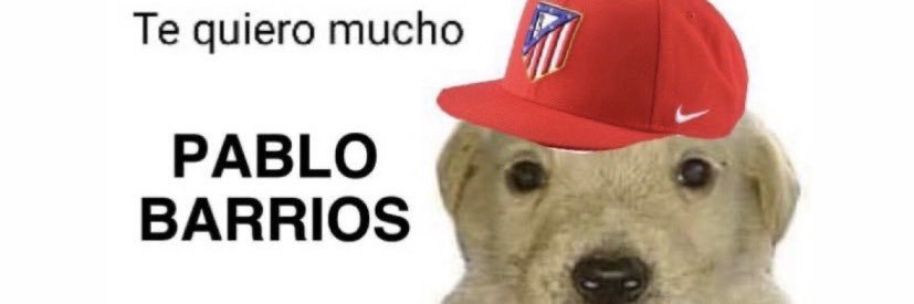 pau ☪︎ ★'s banner