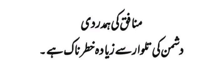 💞 شازیہ چوہدری 💞's banner