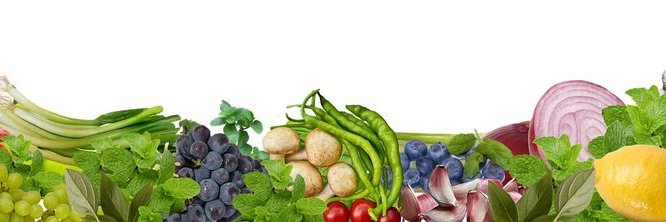 Agri-food & Health 🇨🇦🌍's banner