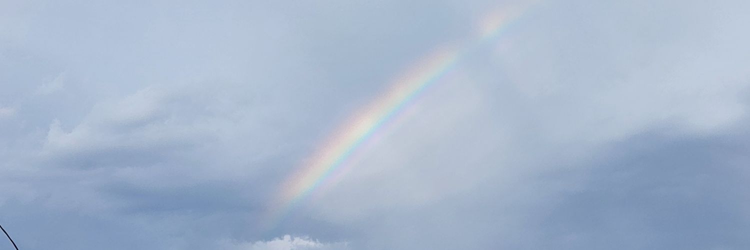 Amanda Bowman's banner