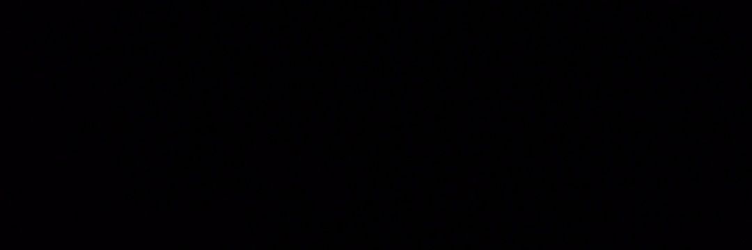 ふぃる's banner