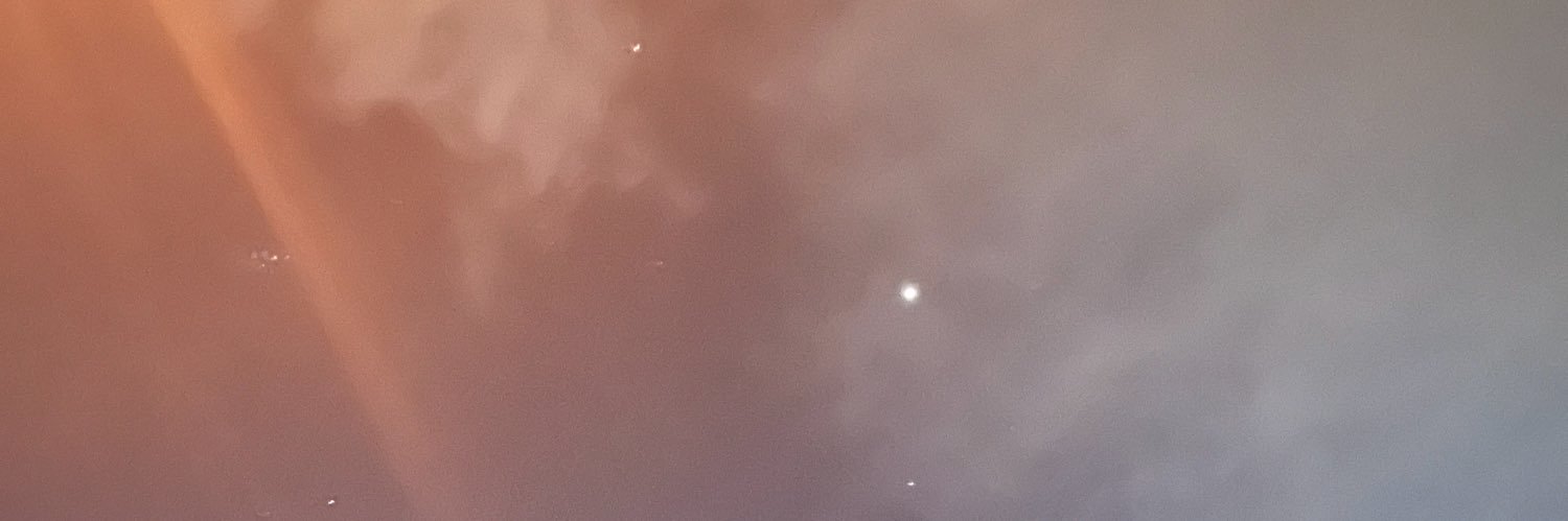 甜美猪大肠's banner